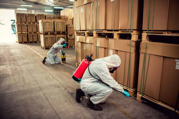Best Emergency Pest Control  in Mcdonald, OH