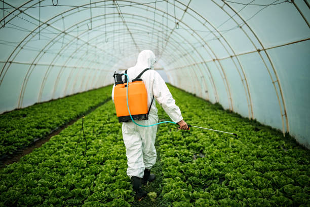 Best Pest Prevention Services  in Mcdonald, OH