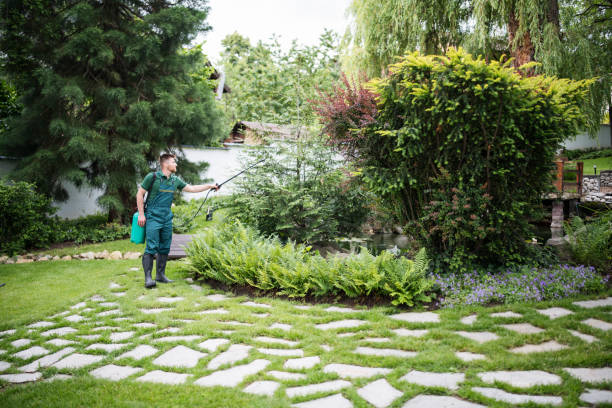 Best Mosquito Control Services  in Mcdonald, OH