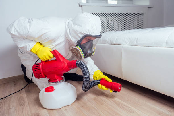 Reliable Mcdonald, OH Pest Control Solutions
