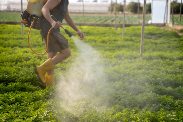 Best Exterminator Services  in Mcdonald, OH