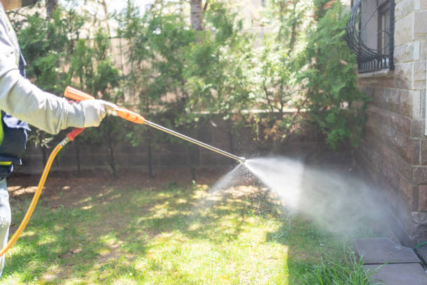 Best Wasp Removal Services  in Mcdonald, OH