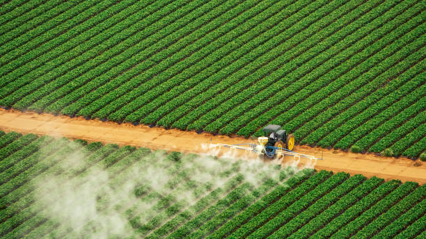 Best Best Pest Control Companies  in Mcdonald, OH