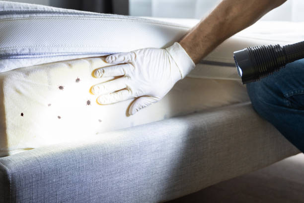 Pest Prevention Services in Mcdonald, OH