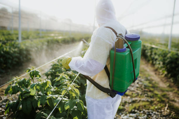 Best Exterminator Services  in Mcdonald, OH